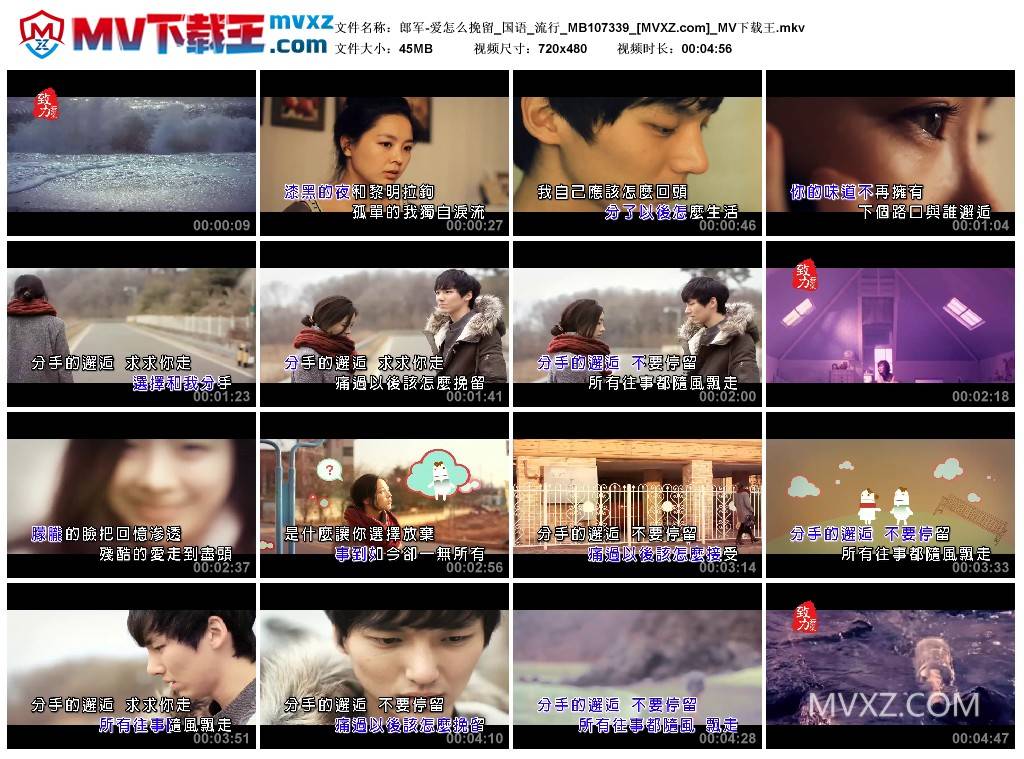 郎军-爱怎么挽留_国语_流行_MB107339